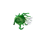 final fantasy iv ds enemy eukaryote