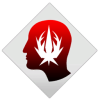 dragon age II trophies